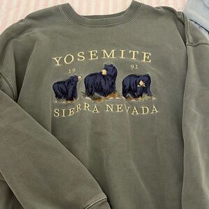 Green Brandy Melville sweater